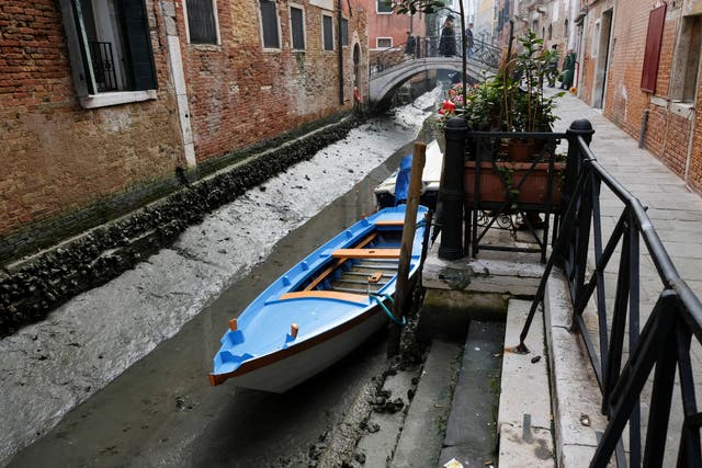<p>Boats are pictured in a canal during a severe low tide in the lagoon city of Venice</p>