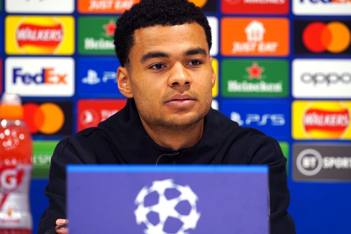 Liverpool&rsquo;s Cody Gakpo relishing chance to prove himself in the Champions League