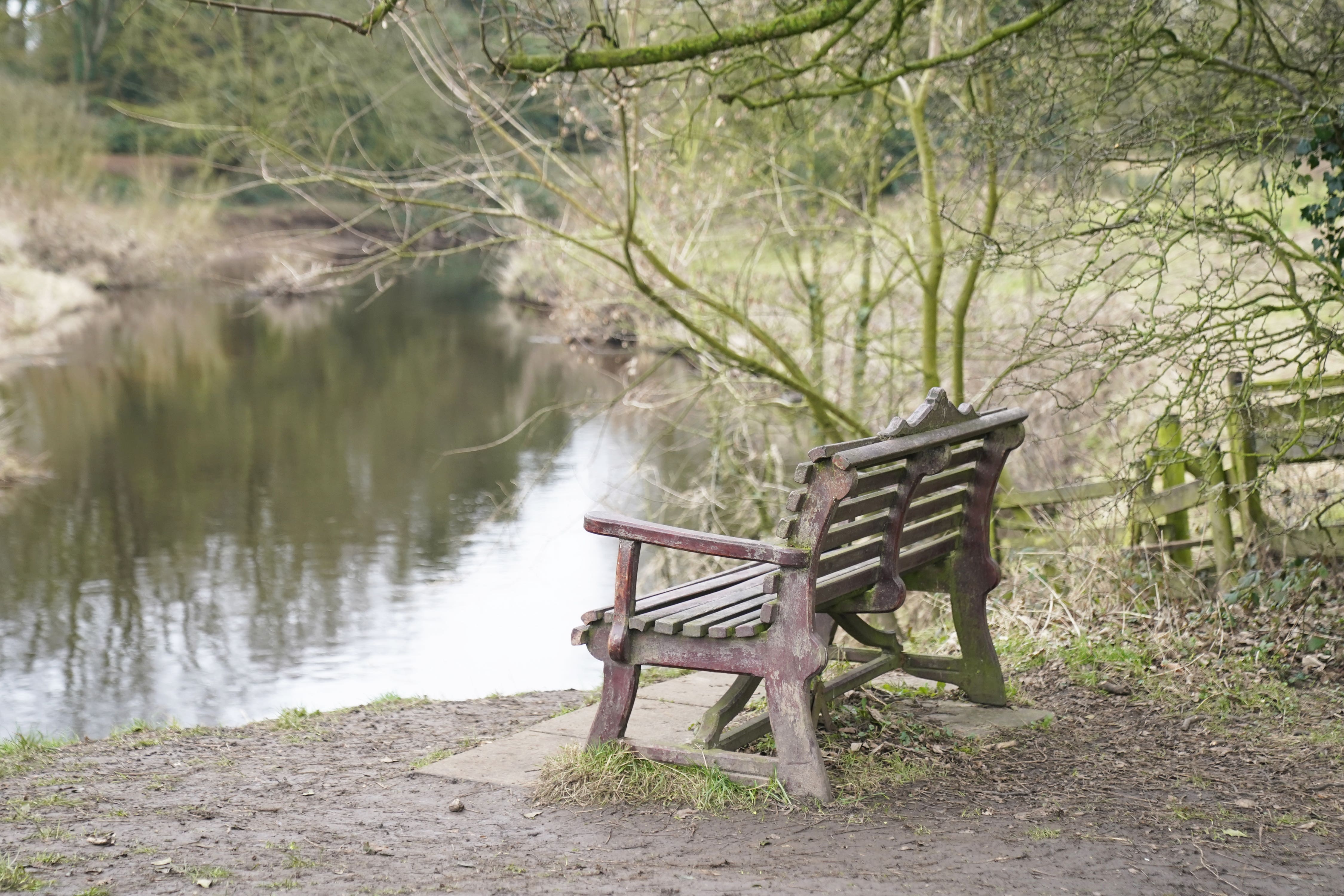 The bench where Ms Bulley’s phone was found, on the banks of the River Wyre in Lancashire