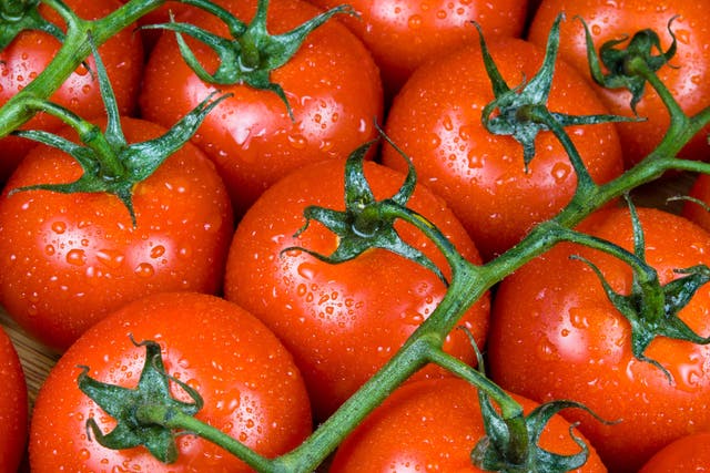 A shortage of tomatoes is widening to more products (Alamy/PA)