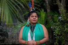 Brazil’s first ever minister of indigenous peoples tackles crises on multiple fronts