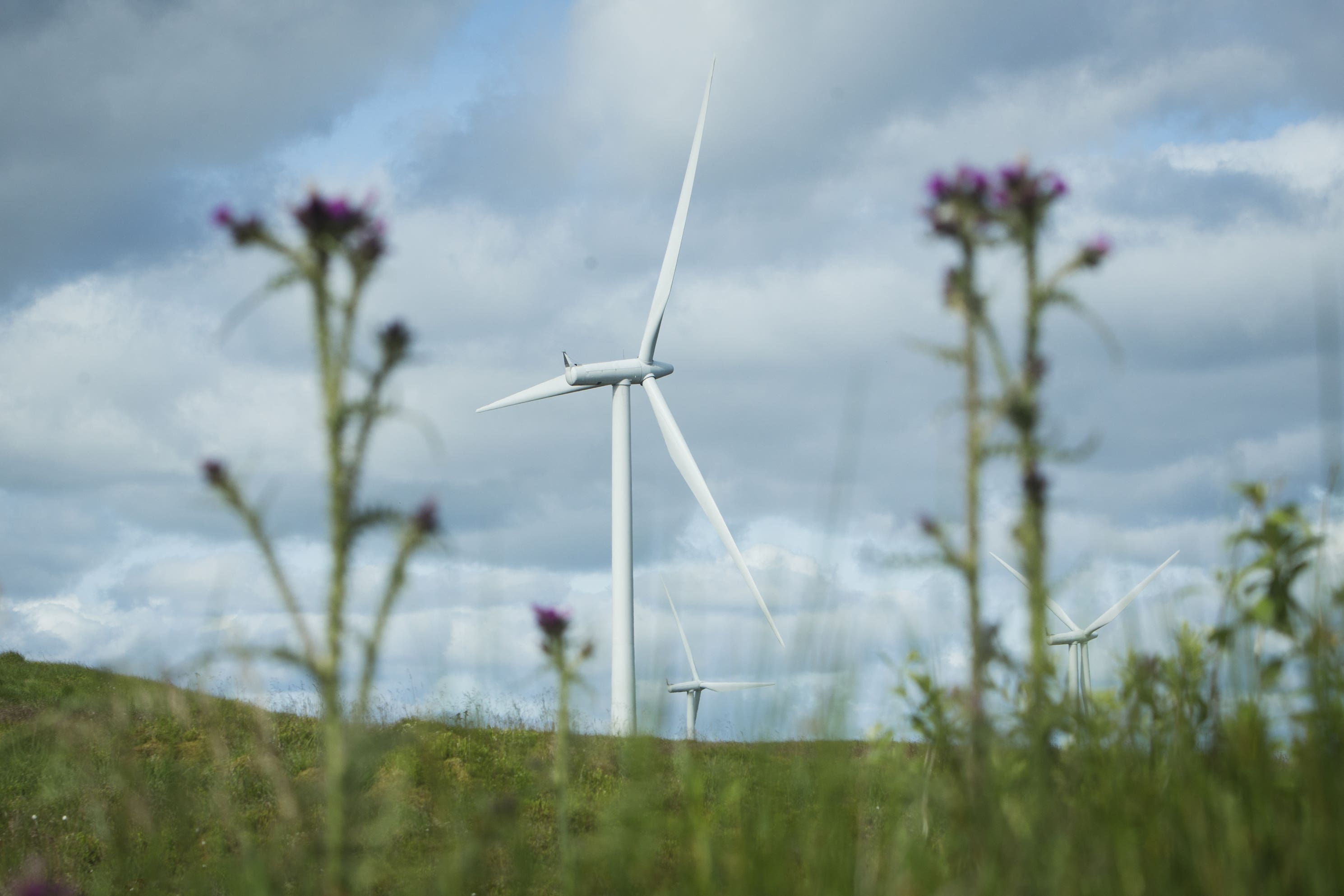 Wind turbines: but net zero has lately run into some heavy weather