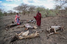 Horn of Africa drought trends said worse than in 2011 famine