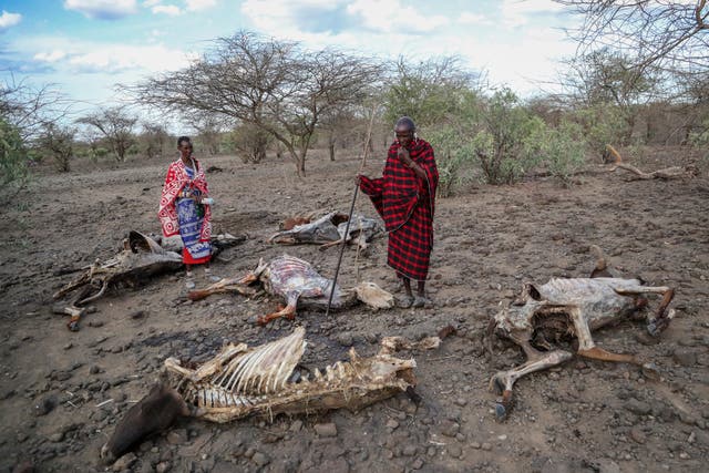 Kenya Horn of Africa-Drought