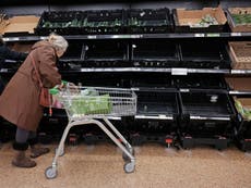 Former Sainsbury’s CEO says UK supermarkets have been ‘hurt horribly by Brexit’