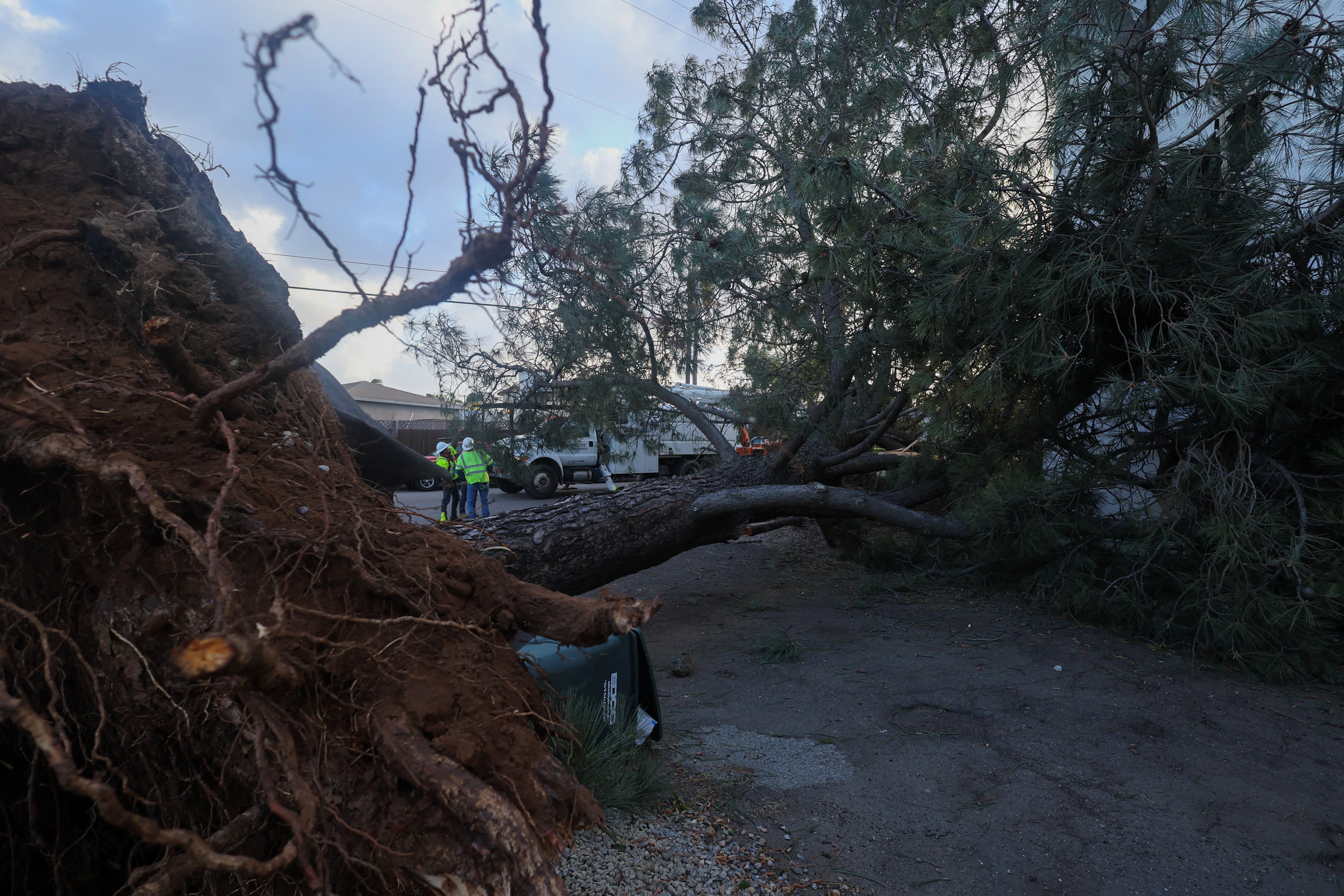 Emergency workers assess the damage after a large tree was blown into an apartment building during a winter storm in San Diego in southern California on Wednesday (REUTERS/Mike Blake)