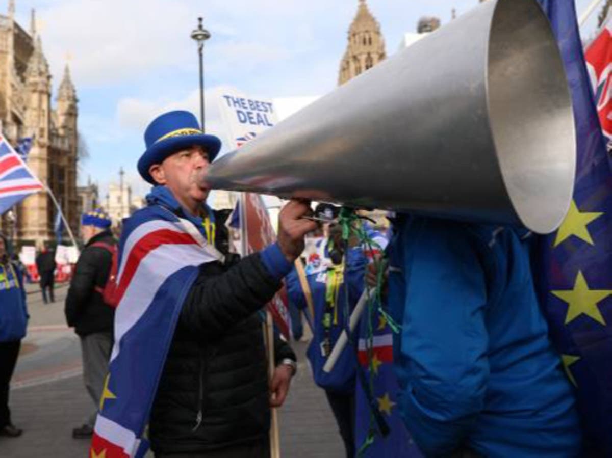 Tory MP Lee Anderson and Brexit activist Steve Bray to clash in boxing match