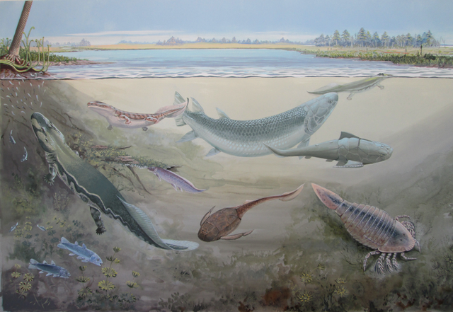 <p>Placoderms are believed to have been the first vertebrates with teeth</p>