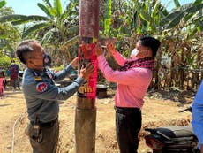 Bird flu kills 11-year-old girl in Cambodia, officials say