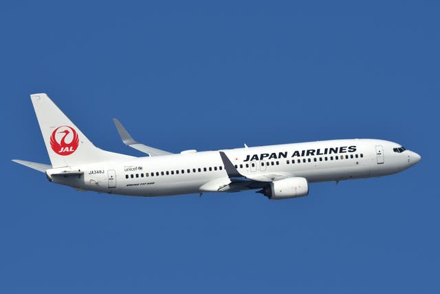 <p>A Japan Airlines passenger plane</p>