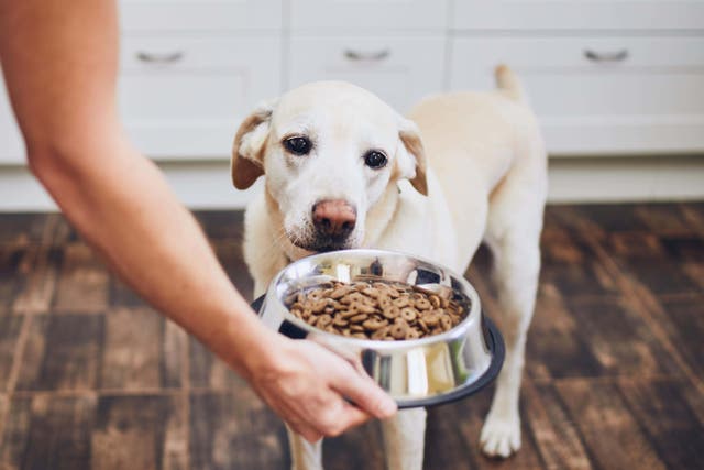Environment Secretary Therese Coffey has called on pet food manufacturers to help their customers as the cost-of-living continues to rise (Alamy/PA)