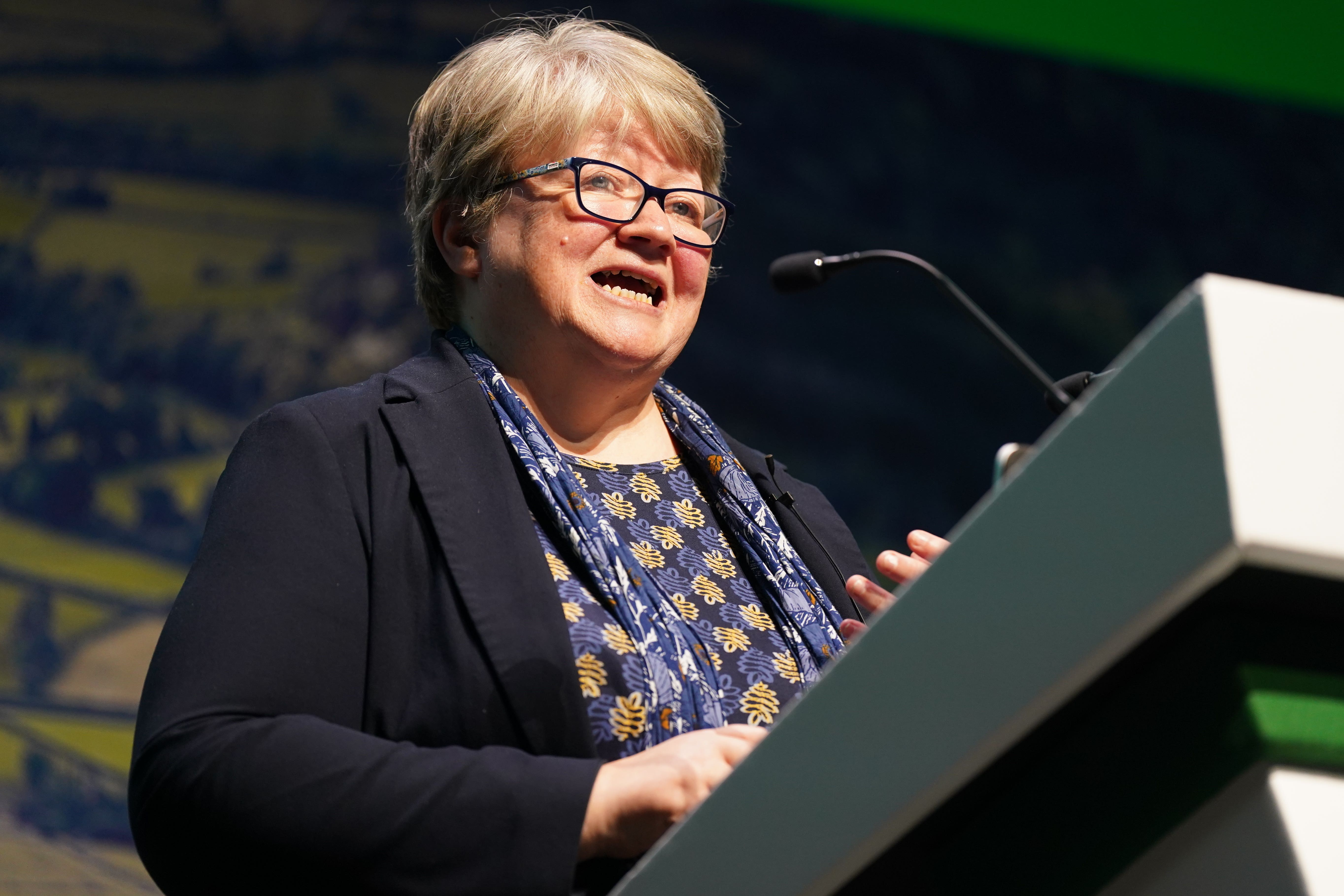 Environment secretary Therese Coffey has told people to eat turnips