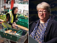 ‘Let them eat turnips’: Tory minister wades in on how to ease supermarket shortages
