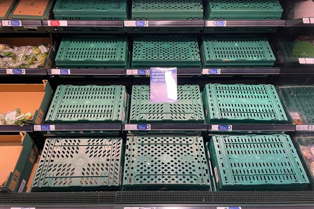 <p>Empty fruit and veg shelves in Tesco on 22 February 2023 in Burgess Hill</p>