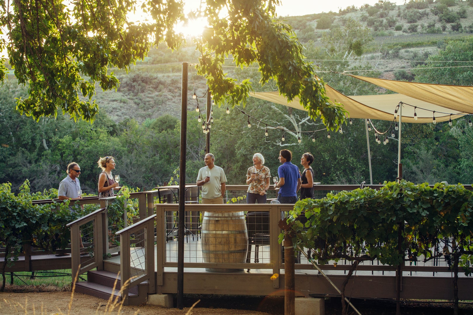 Enjoy a vineyard adventure in Arizona’s must-experience wine country