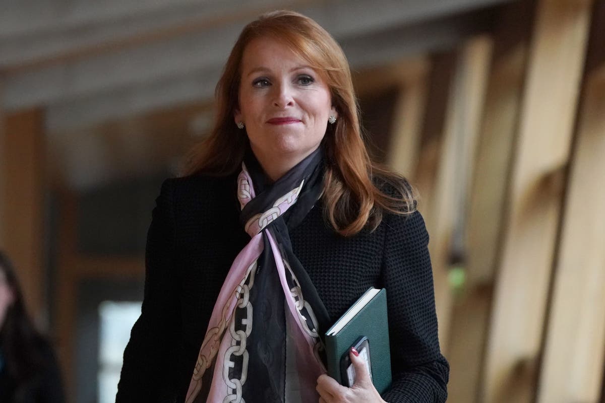 SNP has dismantled Yes movement since 2014 and I will change that, says Regan