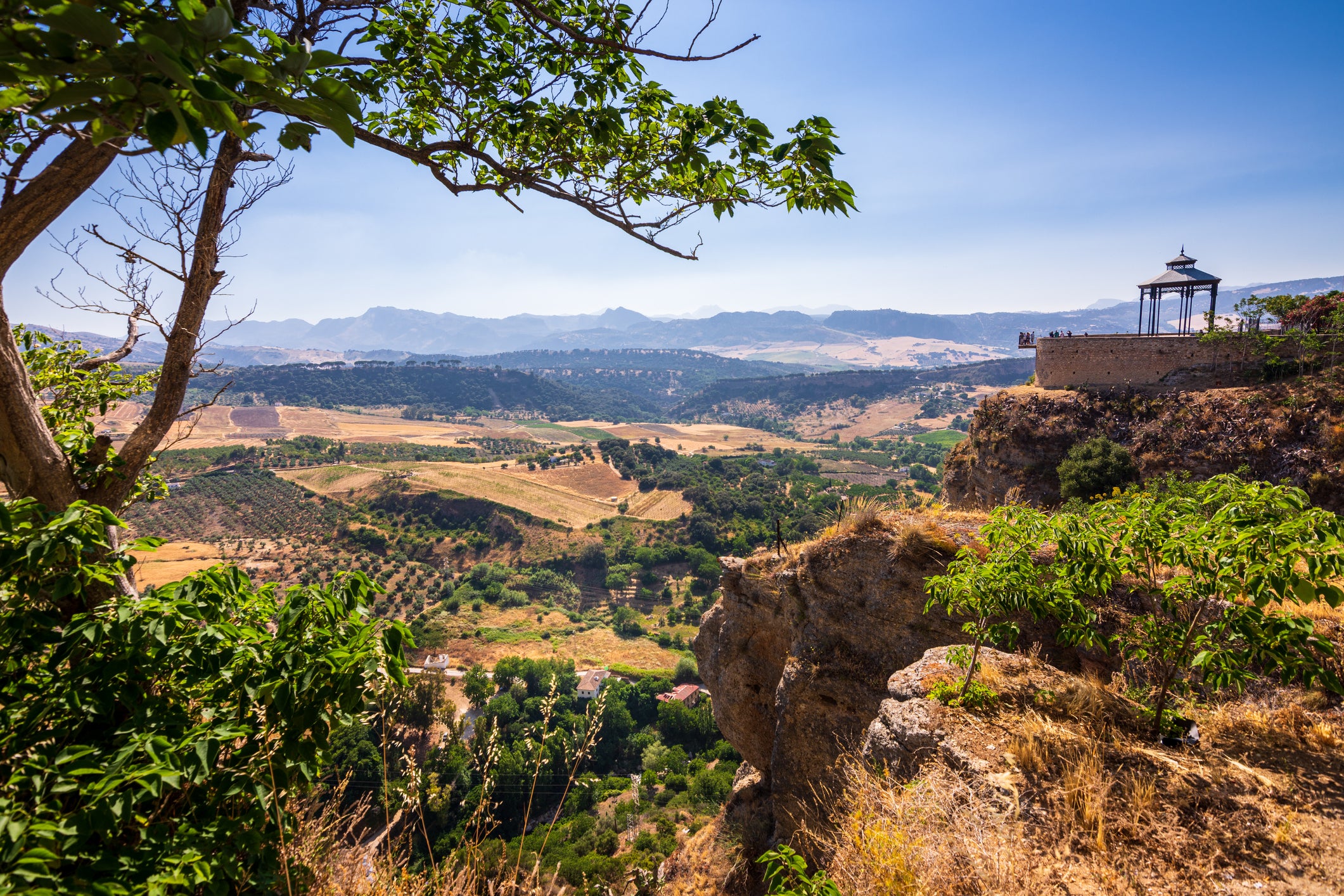 The Andalusian countryside