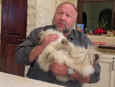 Alex Jones claims the DoJ wants to take his cat Mushu in latest spurious attack on Sandy Hook hoax punishment