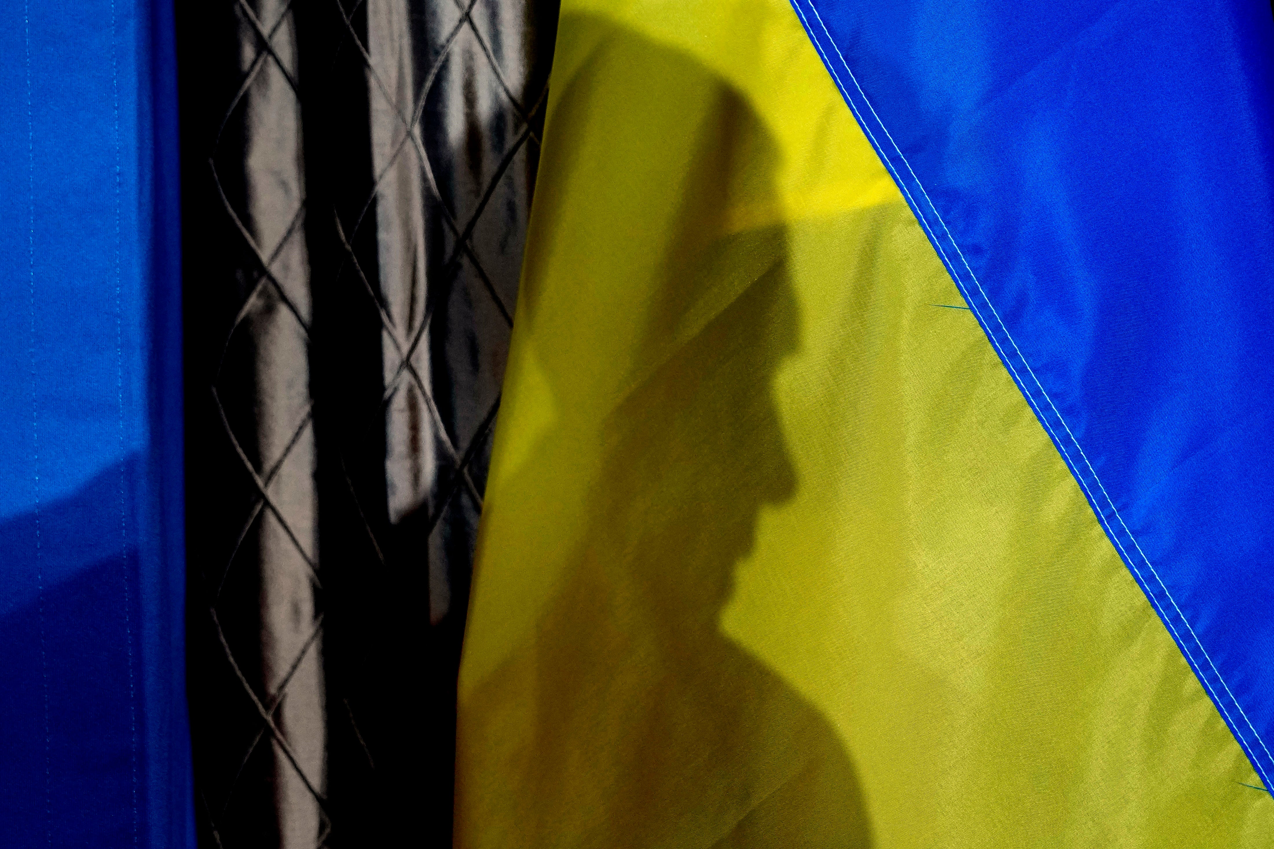 Election 2024 Ukraine