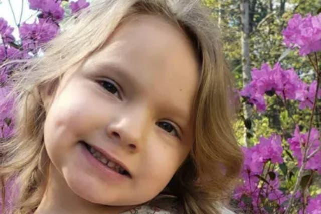 <p>Lily Norton, 6, was mauled by pit bull on 18 February when she was on a playdate </p>