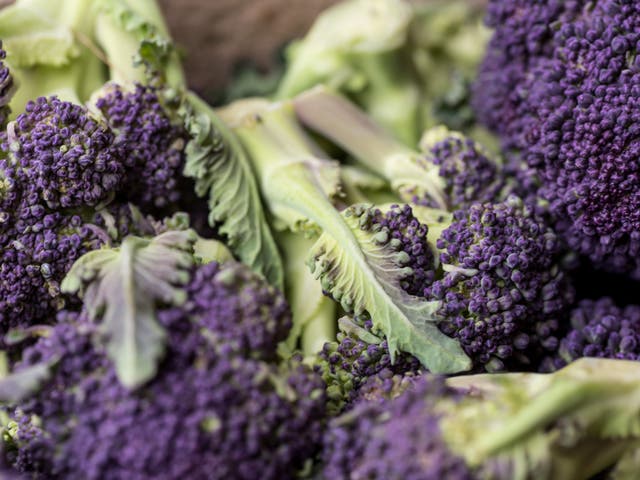 <p>Move over asparagus: purple sprouting broccoli is the first star of spring </p>