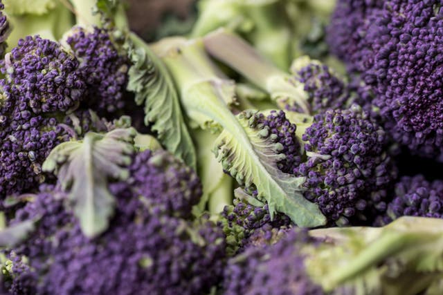 <p>Move over asparagus: purple sprouting broccoli is the first star of spring </p>