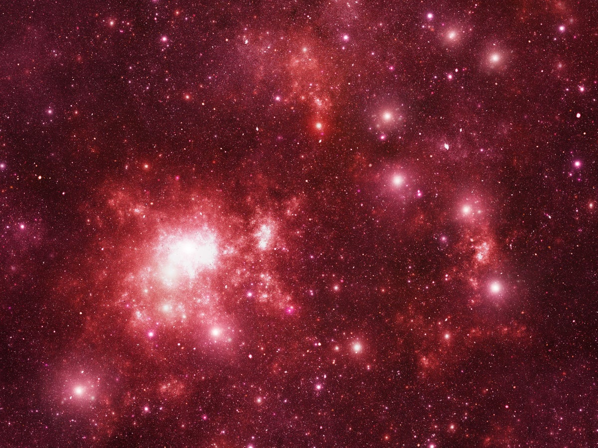 Stargazing in March: Leo’s leading light