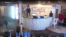 Waitress jumps over counter in panic as 13ft cobra slithers into bar