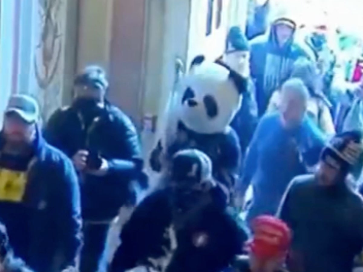 Jan 6 suspect known as ‘Sedition Panda’ is arrested