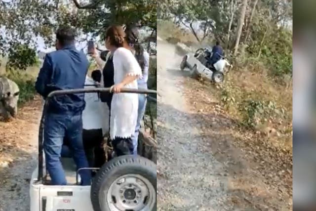 <p>Video of the incident inside Jaldapara national park shows tourists photographing the rhino when it suddenly emerges from behind the bushes and charges at the vehicle</p>