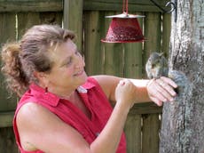 ‘They steal your heart’: The woman who has dedicated her life to rescuing baby squirrels