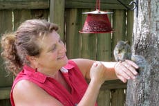 ‘They steal your heart’: The woman who has dedicated her life to rescuing baby squirrels