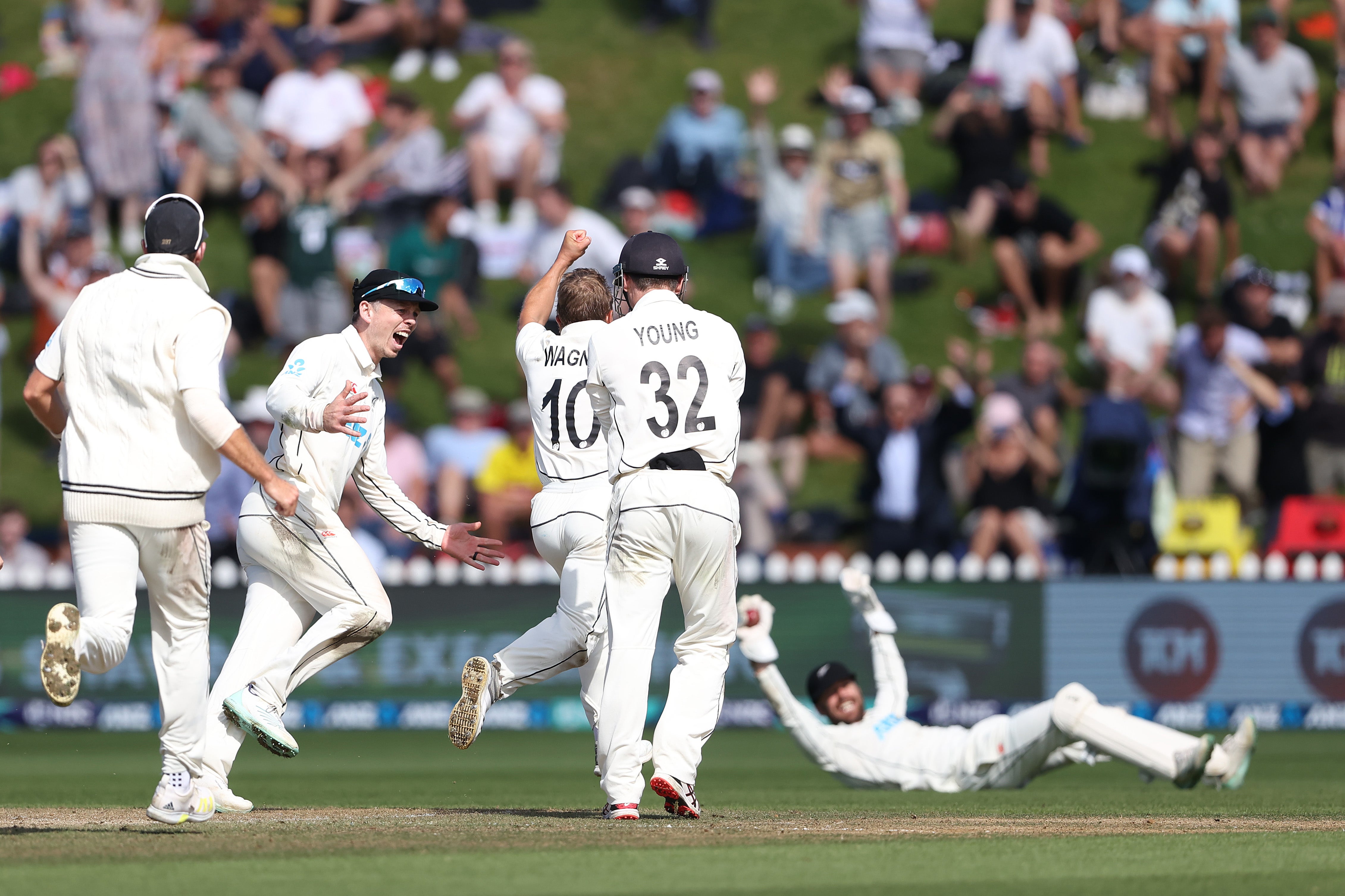 New Zealand celebrate claiming the final wicket of James Anderson