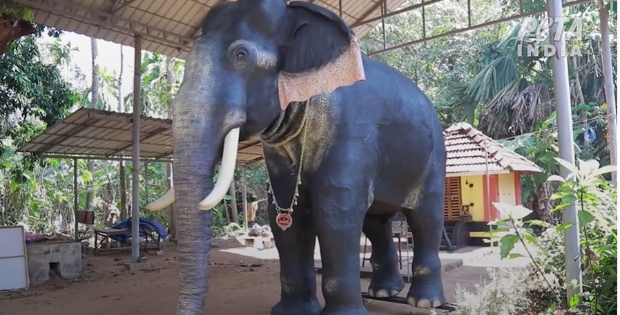 <p>Irinjadappilly Sree Krishna Temple in Thrissur replaces elephant with a lifelike robot</p>