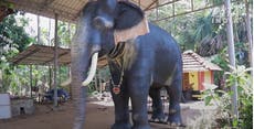 Temple in India replaces elephant with lifelike robot for ‘cruelty-free’ rituals