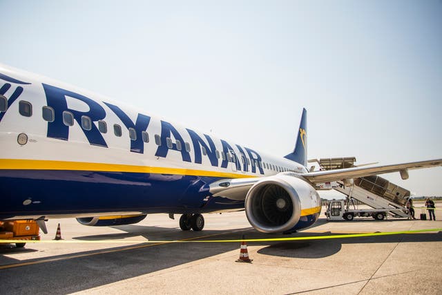 <p>Ryanair said the special assistance they requested from Birmingham Airport failed to materialise </p>