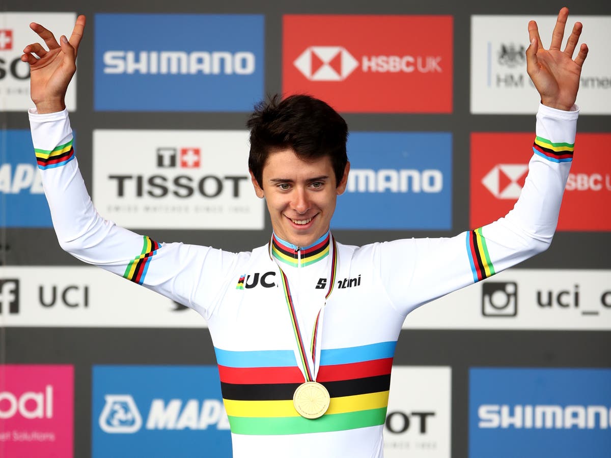 Cyclist shoots politician&rsquo;s cat with an air rifle