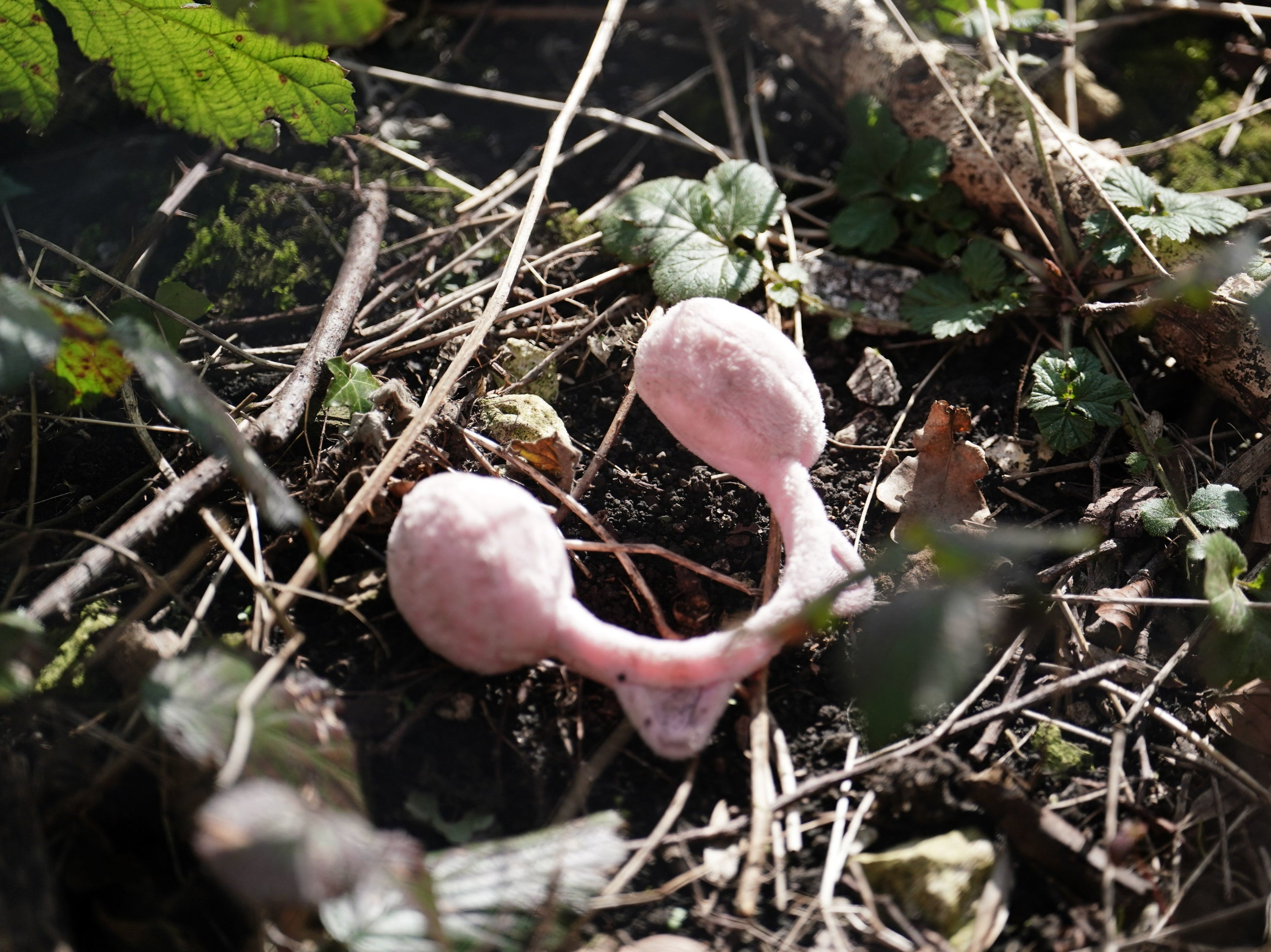 A pair of child ear muffs have been found in the hunt for the missing baby of Constance Marten and Mark Gordon