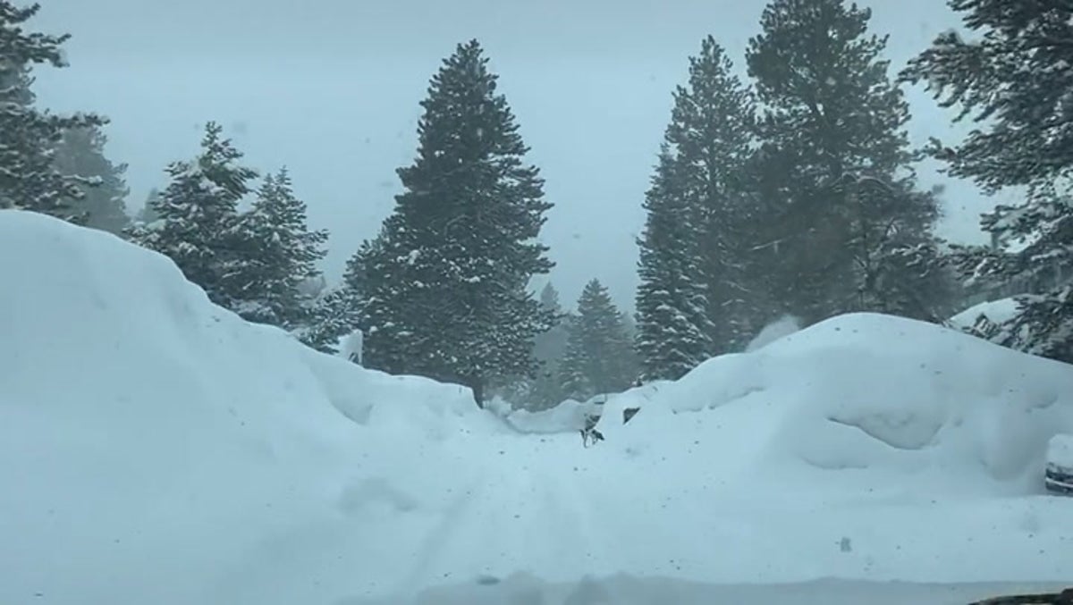 California neighbourhood covered in thick blanket of snow as rare winter storm sweeps state