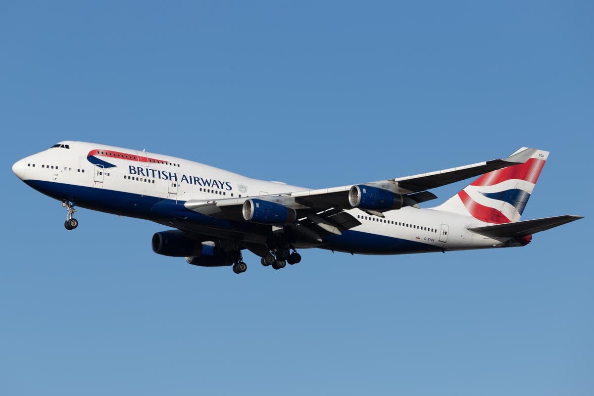 British Airways passenger represents herself in court over flight refund and wins