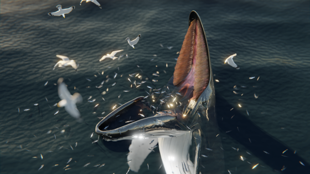 <p>Digital reconstruction of a humpback whale trap feeding</p>