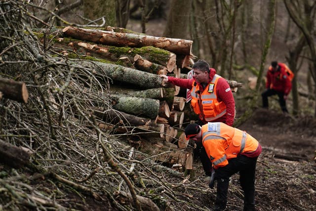 Officers from London Search and Rescue sweep the area in Wild Park Local Nature Reserve where the urgent search operation continues to find the missing baby of Constance Marten and Mark Gordon (Jordan Pettitt/PA)