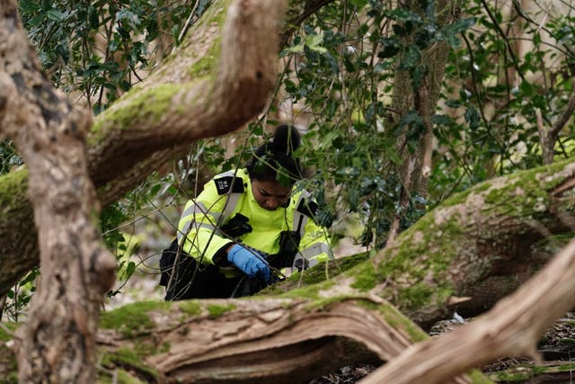 A police officer in woodland at Wild Park Local Nature Reserve, near Moulsecoomb, Brighton, where the urgent search operation continues to find the missing baby of Constance Marten and Mark Gordon. The pair were arrested on suspicion of gross negligence manslaughter on Tuesday after being stopped in Brighton on Monday following several weeks of avoiding the police, but the baby was not with them. Picture date: Wednesday March 1, 2023.
