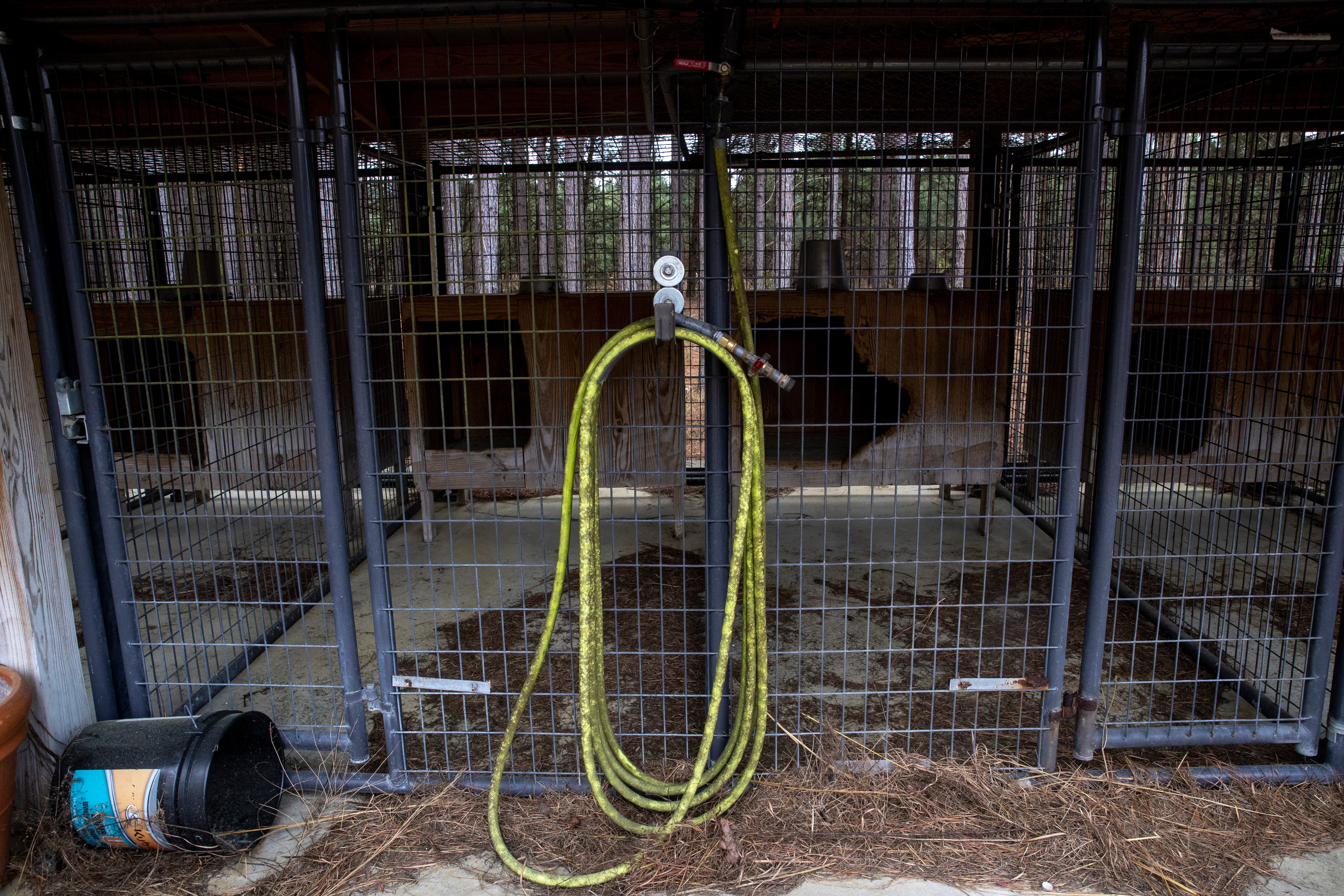 A hose in the dog kennels at the Murdaugh Moselle property on Wednesday