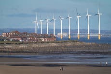 UK renewables produced enough electricity to ‘power every UK home’ through the winter, analysts say