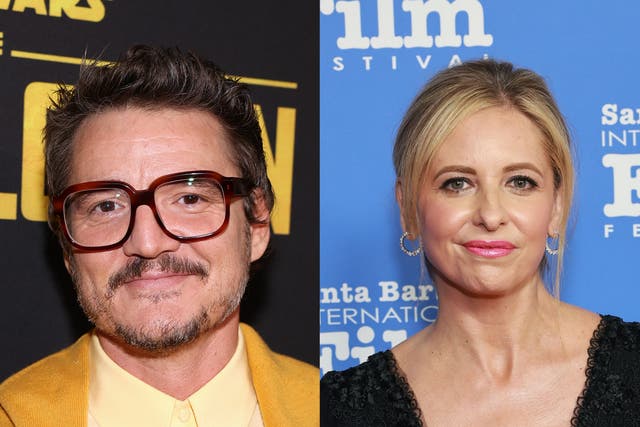<p>Sarah Michelle Gellar replied to Pedro Pascal’s response to her throwback on an Instagram story</p>
