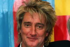 Mullets have more fun - according to research