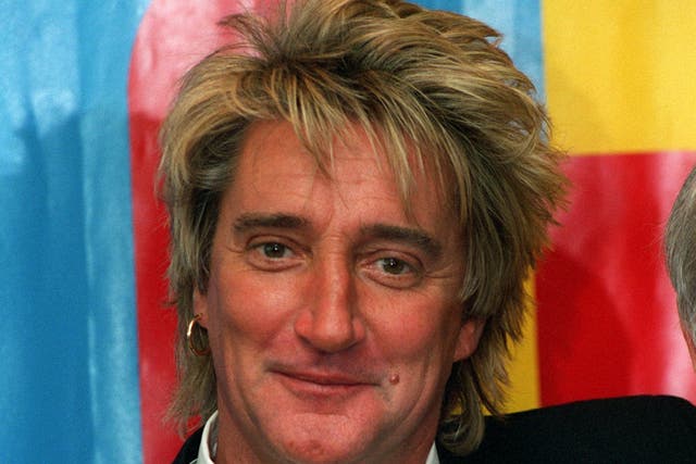 <p>The study also saw Rod Stewart’s blow-dried masterpiece named the best celebrity mullet of all time</p>