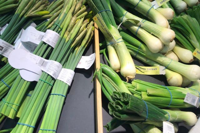 <p>Botanist James Wong has warned that M&S must train staff not to display daffodils alongside vegetables in-store</p>