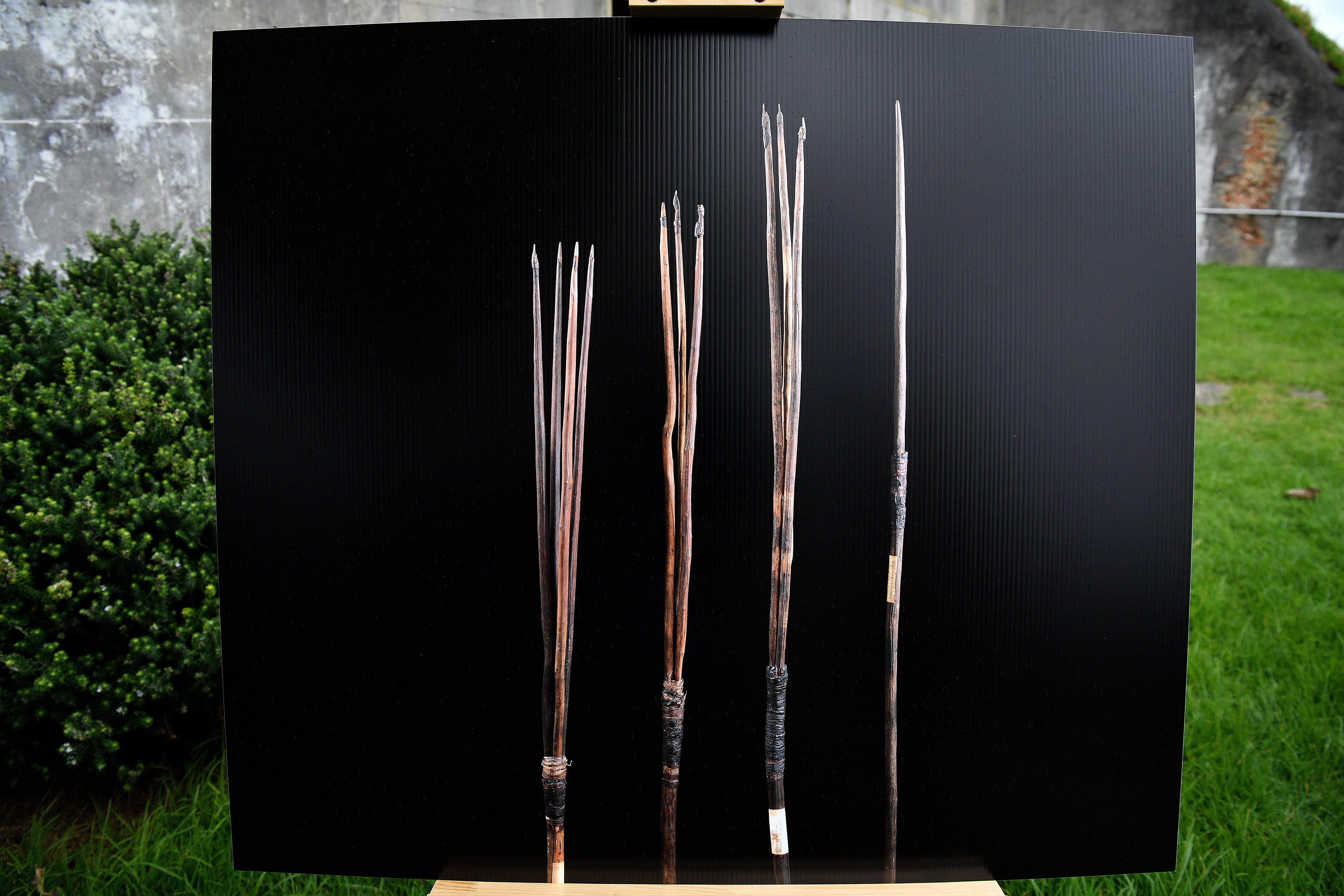 A photograph of the four historic Australian Aboriginal Kamay spears that will be repatriated back to Country is seen during a press conference on Bare Island, in Sydney, Australia on 2 March 2023